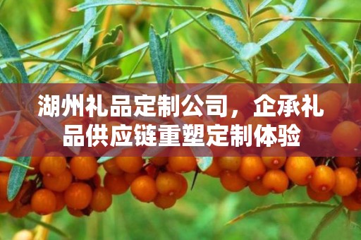 湖州礼品定制公司，企承礼品供应链重塑定制体验